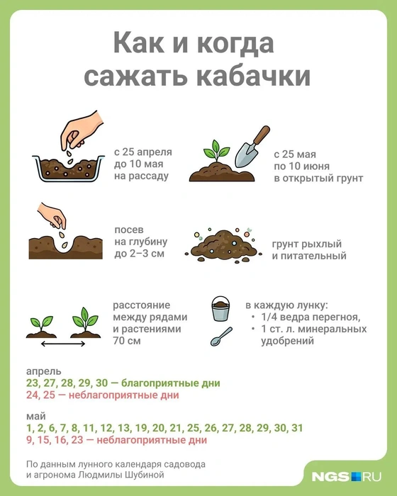 Источник: Юрий Орлов / Городские медиа