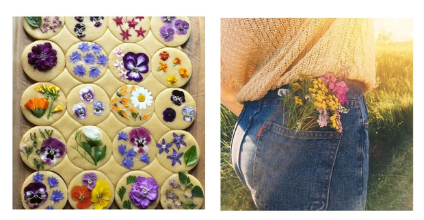 Фото №1 - Фуд-тренд: ванильное печенье со съедобными цветами — лучшее украшение для вашего пикника
