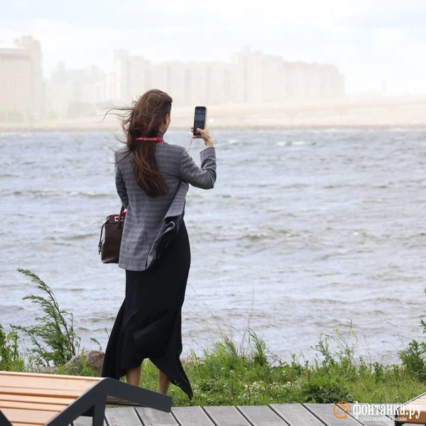 Источник: Сергей Михайличенко / «Фонтанка.ру»