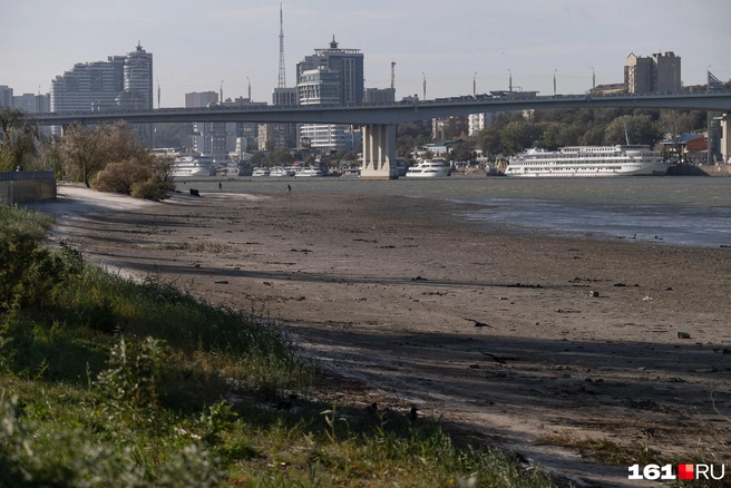 Когда находишься на берегу, становится понятно, насколько сильно ушла вода | Источник: Евгений Вдовин / 161.RU