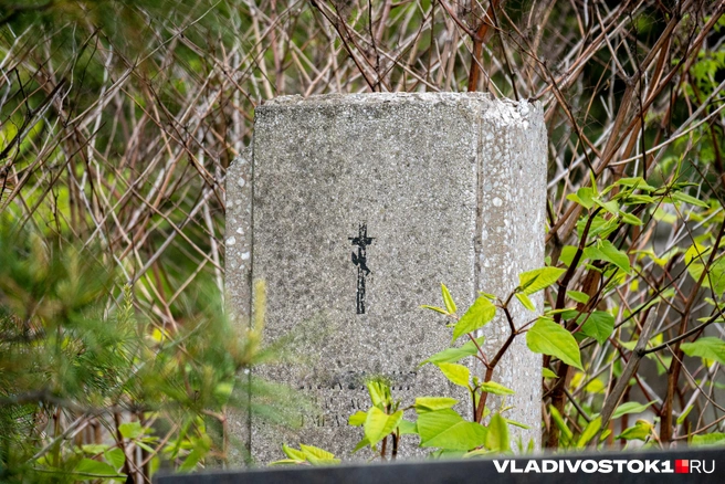 Источник: Елена Буйвол / VLADIVOSTOK1.RU
