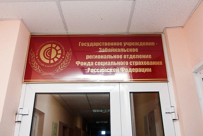 Источник: Ксения Зимина
