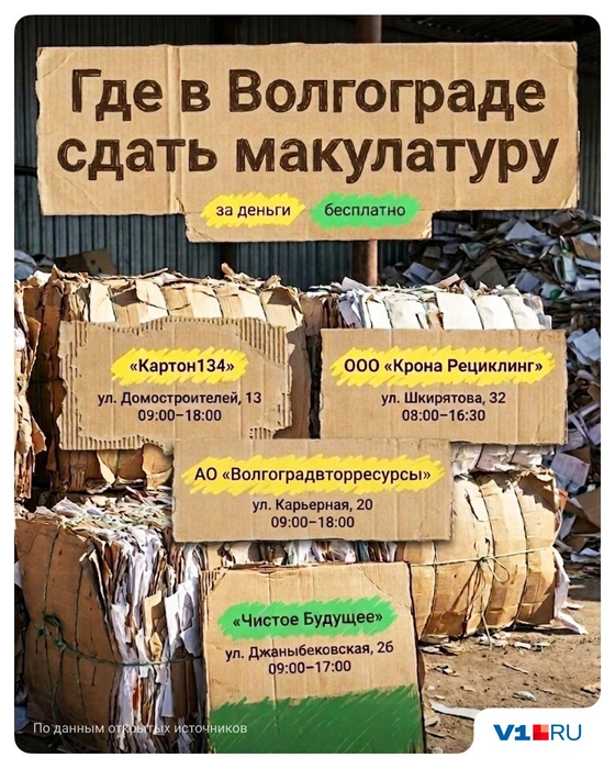 Источник: Полина Авдошина / V1.RU