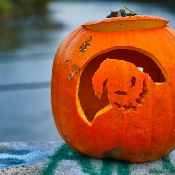 Источник: Unsplash