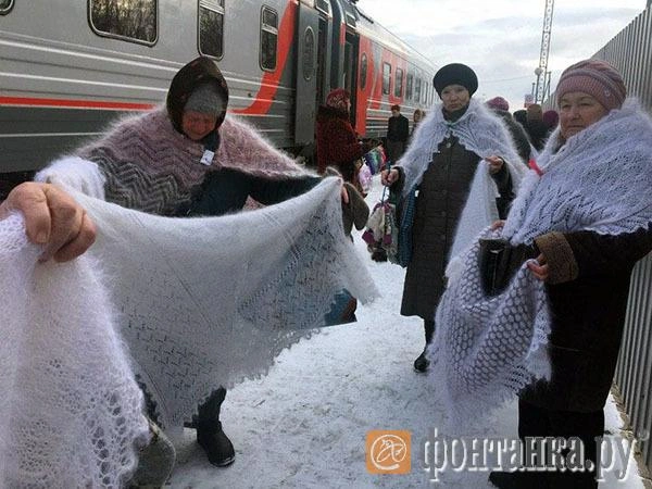 Пух и страх. Как исчезает урюпинский пуховый промысел (фото) | www.fontanka.ru