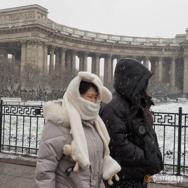 Источник: Михаил Огнев / «Фонтанка.ру»