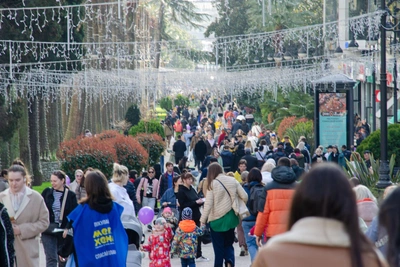 Объем помощи участникам СВО в Сочи составил более 96,5 млн рублей