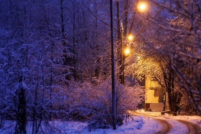 Body of missing girl found in Tyumen Region