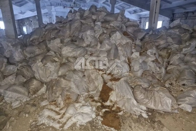 Прокуратура подтвердила сброс отходов птицефабрикой Островной