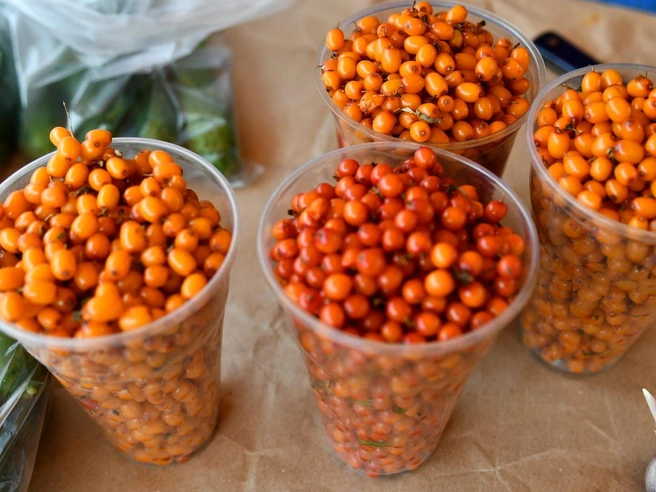 При отсутствии проблем со здоровьем облепиху можно использовать как сезонный витаминный источник, а не как лекарственное средство. При хронических заболеваниях ЖКТ или желчного пузыря дозировку лучше обсудить с врачом. | Источник: Дмитрий Емельянов / E1.RU