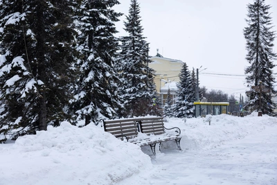 Погода в Ярославле на Крещение: снегопады и морозы