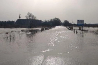 Паводок затопил мост у поселка Терехово