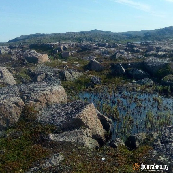 Источник: Анна Мотовилова / «Фонтанка.ру»