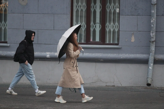 Источник: Андрей Бортко / NGS.RU