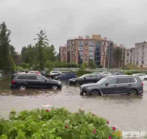 Источник:  читатель «Фонтанки» Сергей