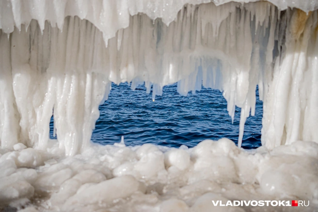 Оценили поступок далеко не все | Источник: Елена Буйвол / VLADIVOSTOK1.RU