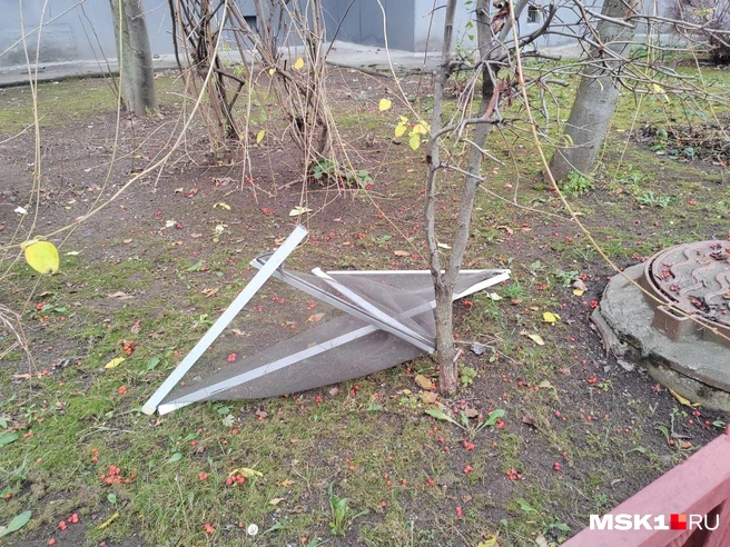 Источник: Михаил Мечев / MSK1.RU