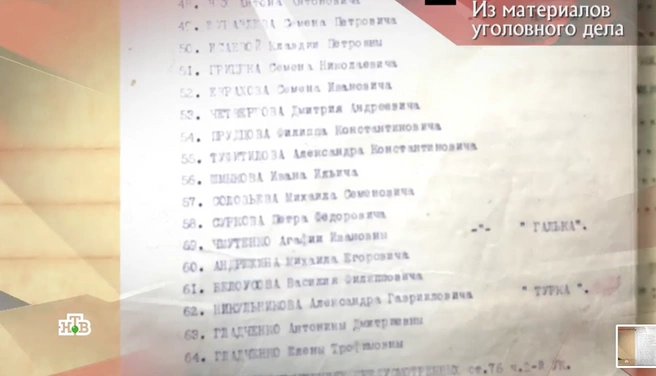 Источник: скриншот программы «Следствие вели…» с Леонидом Каневским