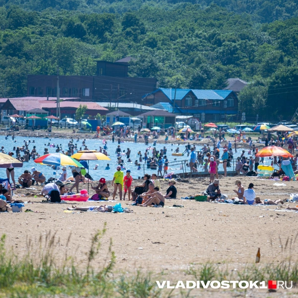 Источник: Алиса Князева / VLADIVOSTOK1.RU