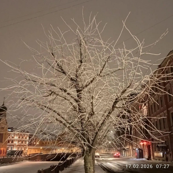 Источник: Александр Колесов