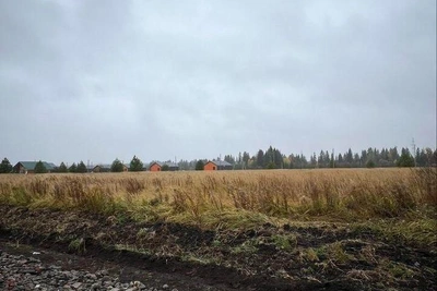 В Удмуртии возбудили дело из-за спора о кладбище