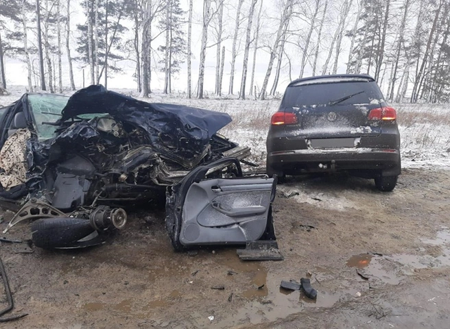 В ДТП под Сасовом погибла семилетняя девочка | ya62.ru