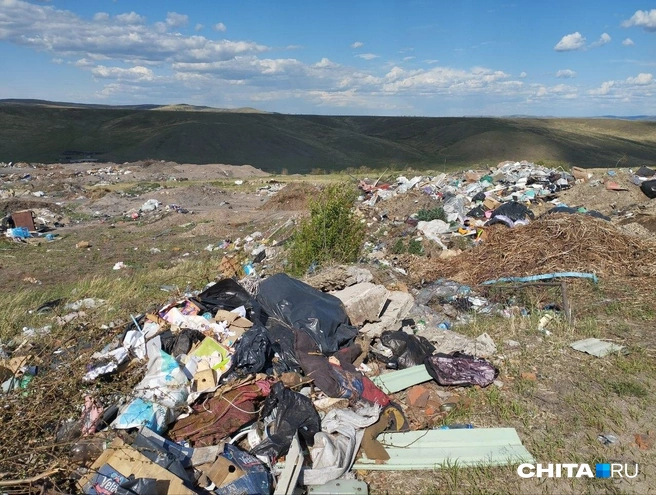 Новая свалка возле полигона ТБО в Шилке | Источник: Сергей Бумагин / CHITA.RU