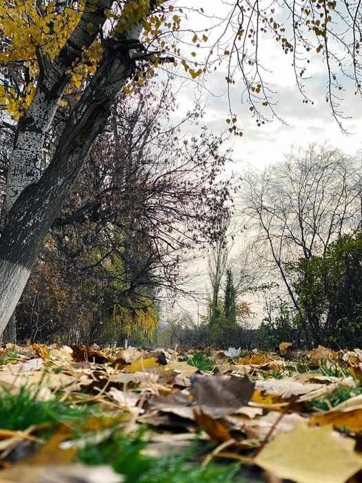 Источник: Юлия Воропаева