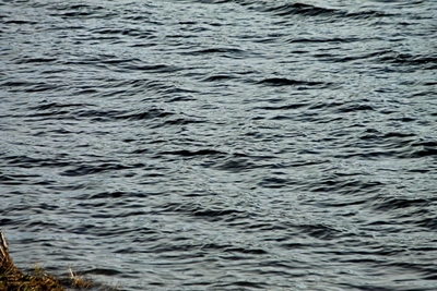 На реке Амуджикан выявили загрязнение воды