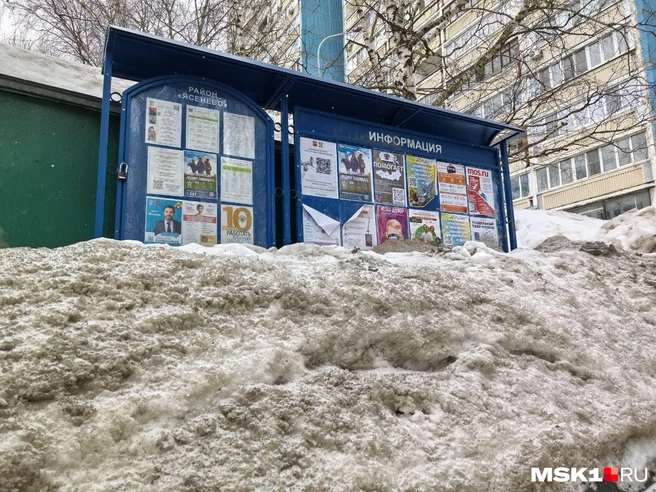 Ясенево известно Битцевским лесом (второй по величине парк Москвы), усадьбой «Узкое», Палеонтологическим музеем с динозаврами и типовой советской застройкой 1970-х на Теплостанской возвышенности | Источник: Михаил Контуев / MSK1.RU
