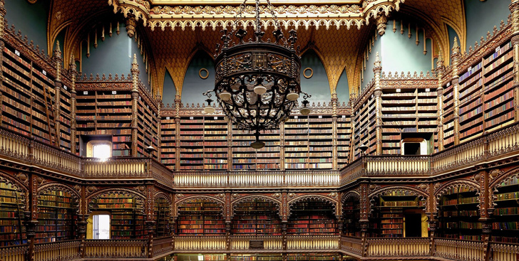 Самые потрясающие библиотеки мира (фото 53)