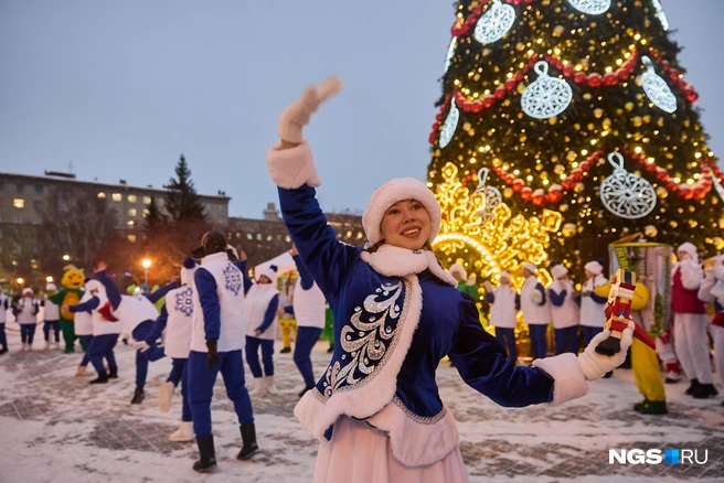 Под Новый год в регионе ожидается волна холода | Источник: Александр Ощепков / NGS.RU