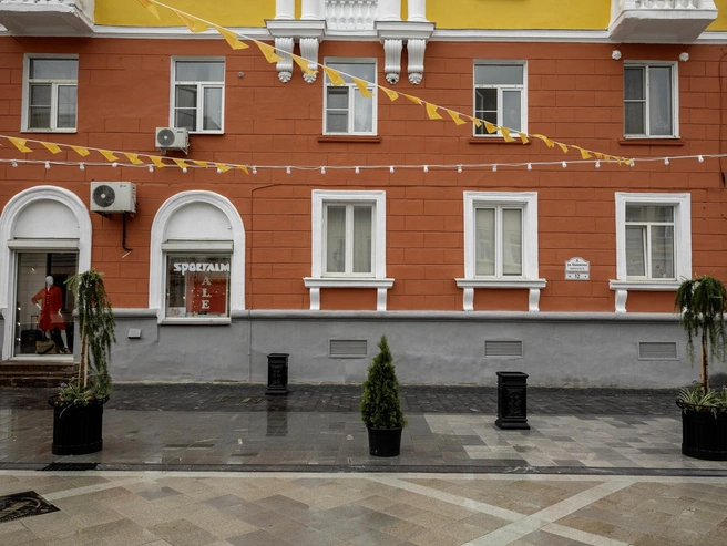 Некоторые деревья помещены в пластиковые горшки. | Источник: Александр Куренной / 76.RU