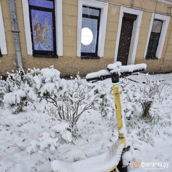 Источник: FONTANKA.RU