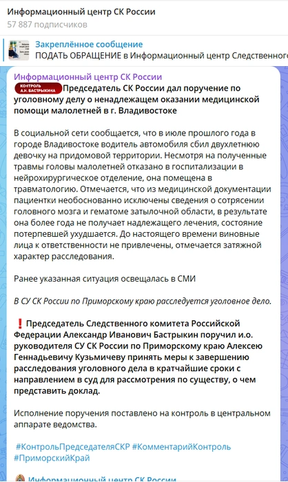Источник: Информационный центр СК России / T.me