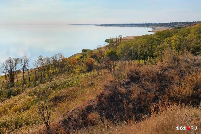К июлю в парке высадят первый в России «кукурузный лабиринт» площадью 3 гектара | Источник: Ирина Яровенко