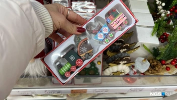 Многим пришлись по душе праздничный паровозик и лошадка | Источник: Настасья Медведева / NGS.RU