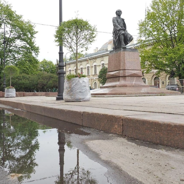 Временный сад на Менделеевской линии еще создают | Источник: Михаил Огнев / «Фонтанка.ру»