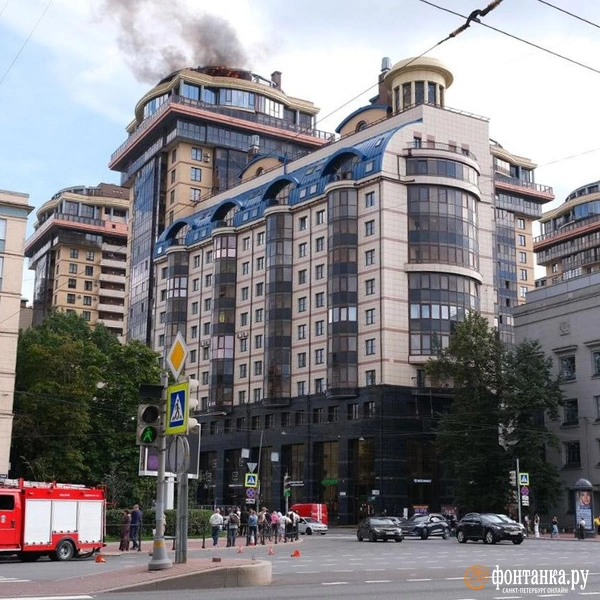 Источник: Анжела Мнацаканян / FONTANKA.RU