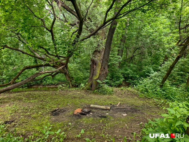 Здесь на берегу реки вот обустроили | Источник: Булат Салихов / UFA1.RU