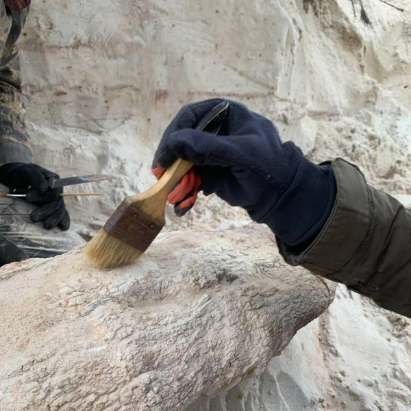 Источник: Телеграм-канал Антона Барашенкова