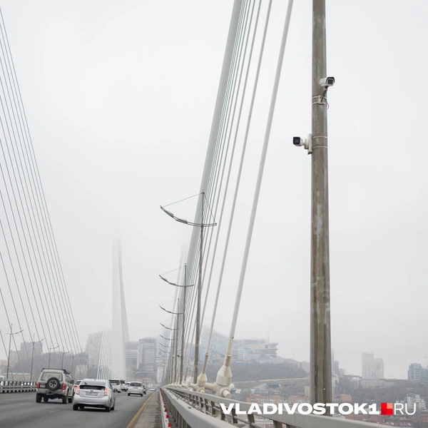 Источник: Елена Буйвол / VLADIVOSTOK1.RU