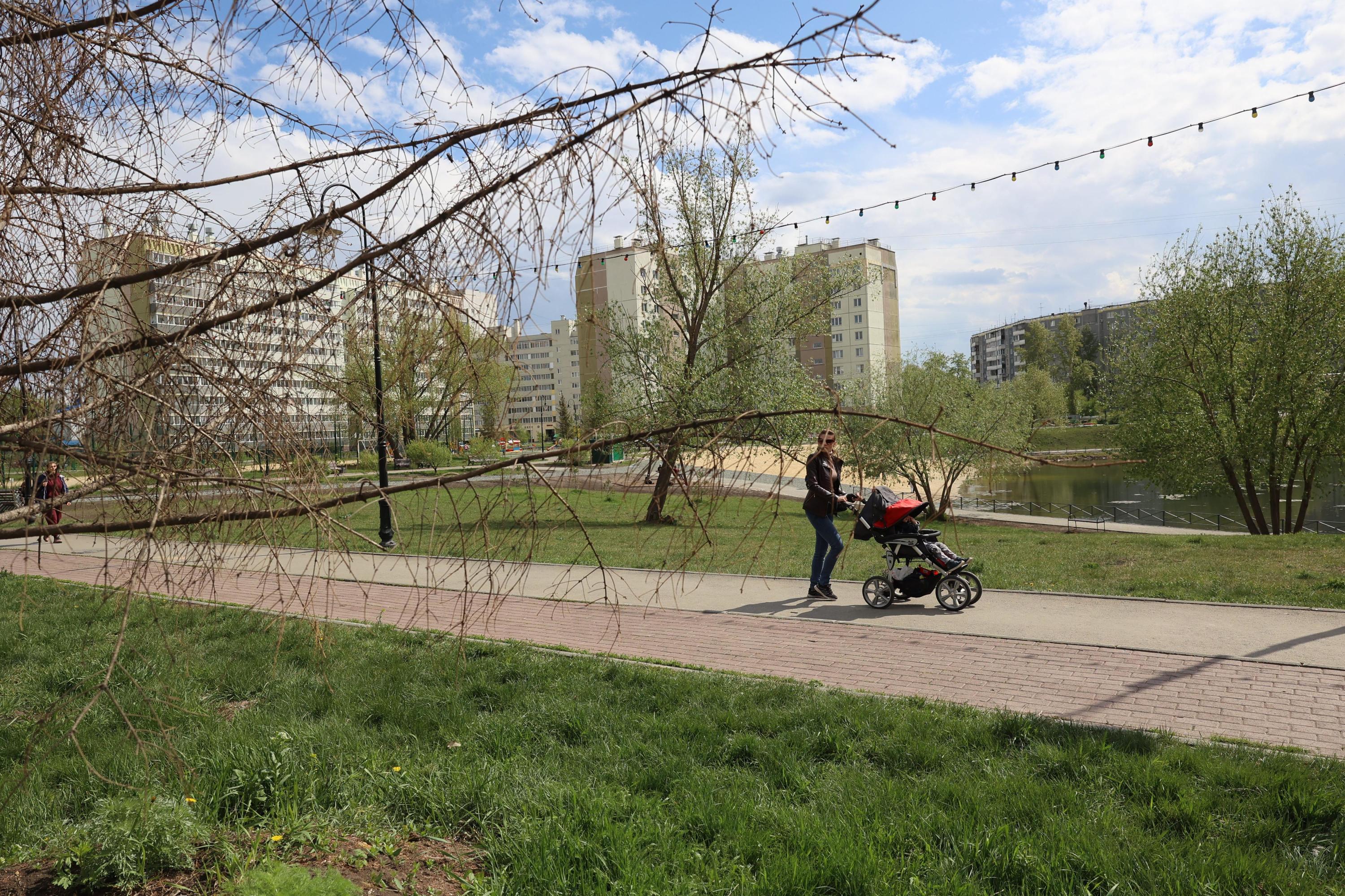 Почему могут отказать в детских выплатах - 18 апреля 2023 - ЧИТА.ру