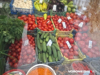 Источник: Алёна Воропаева / Voronezh1.ru