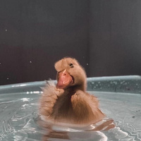 Аватарка Анастасия