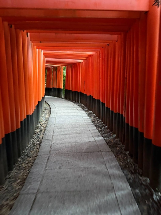 Часть храмового комплекса Инари в Киото | Источник: личный архив