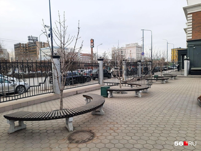 Источник: Анастасия Баринова / 56.RU