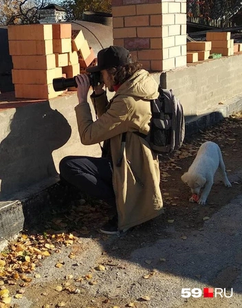 На съемках в Чердыни у Тима появился хвостатый ассистент | Источник: Ольга Якунчева / 59.RU