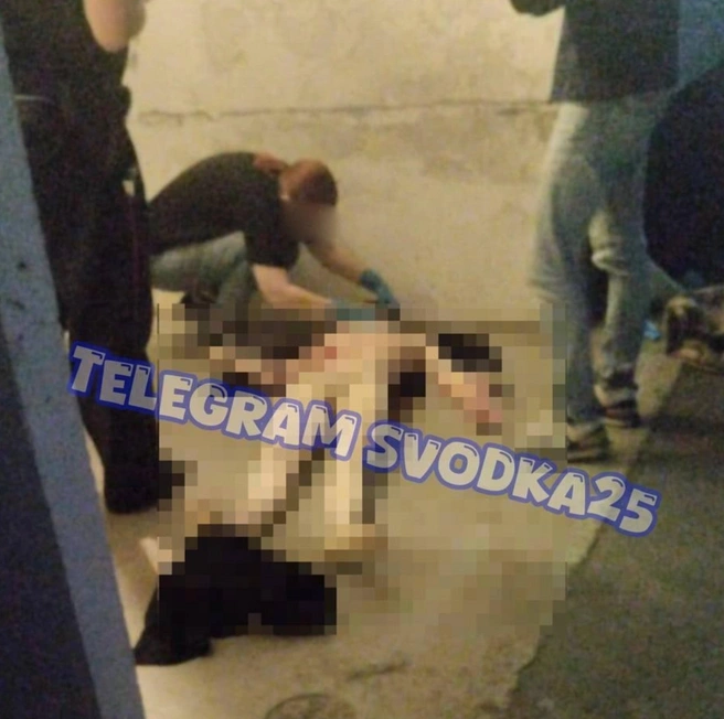 Пугающий снимок распространился в Сети | Источник: Svodka25 / Telegram-канал