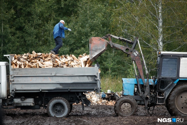 Юрий Добкин уверяет, что занимается заготовкой дров в деревне Харино  | Источник: Андрей Бортко / NGS.ru